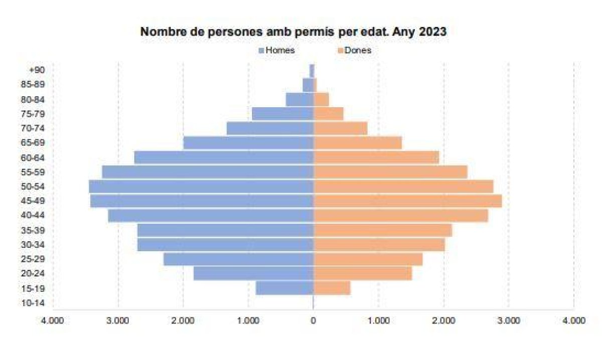 Distribució per edats de les persones amb permís de conduir