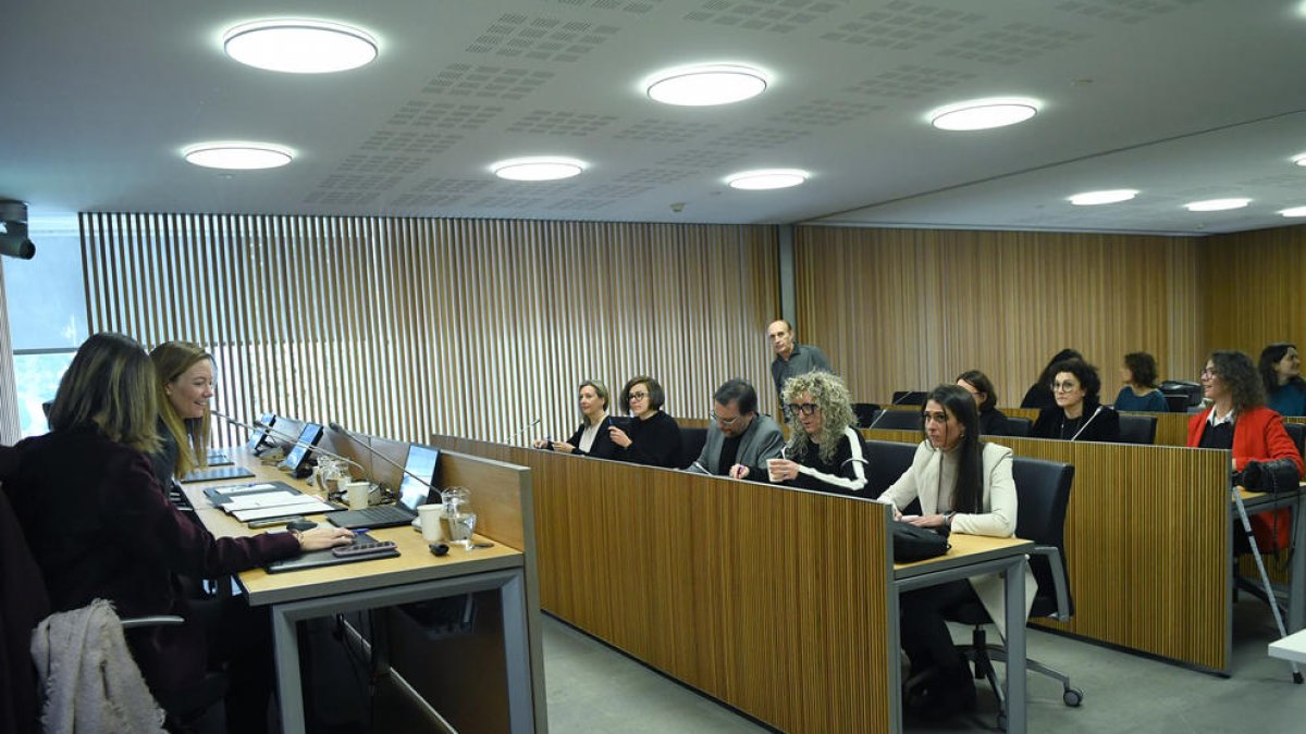 La ministra Helena Mas en la presentació del pacte de Sanitat als grups polítics al Consell al gener