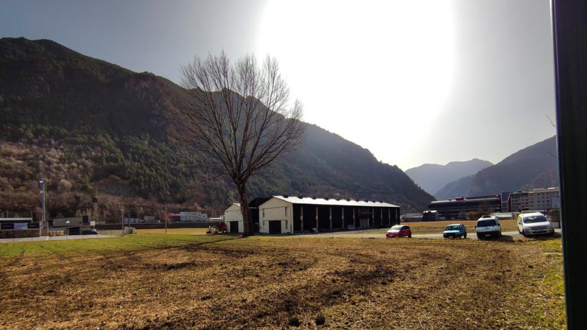 Terrenys on l'FC Andorra vol construir l'estadi i el multifuncional.