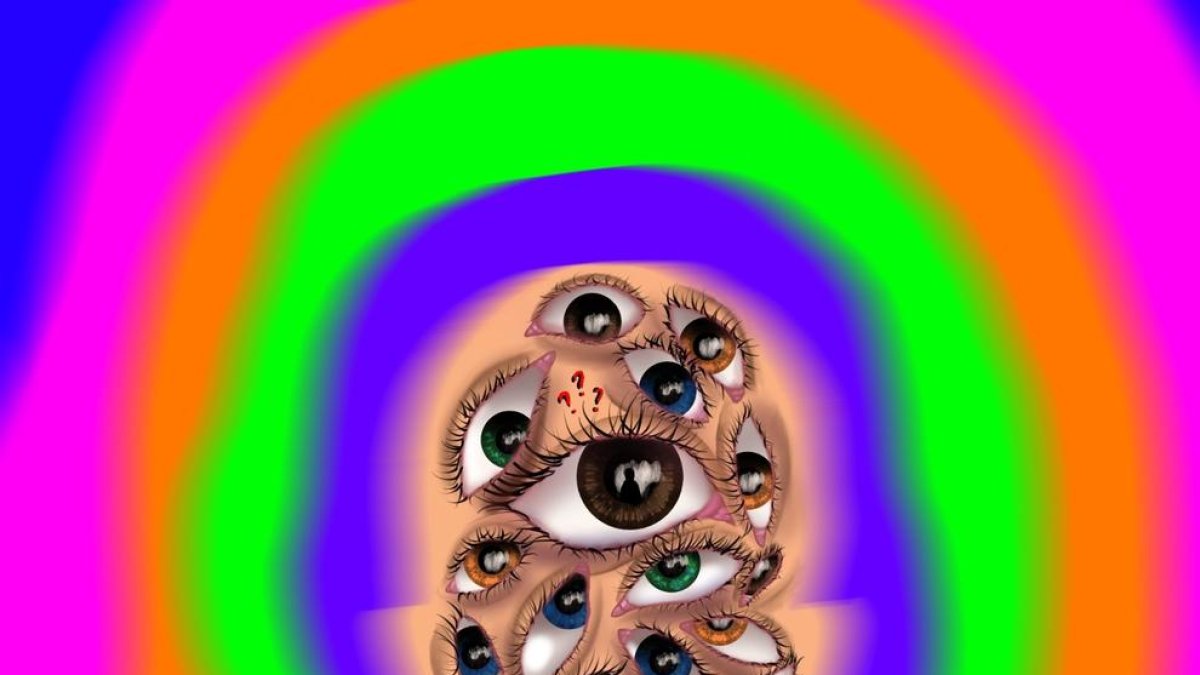 Una de les vuit imatges