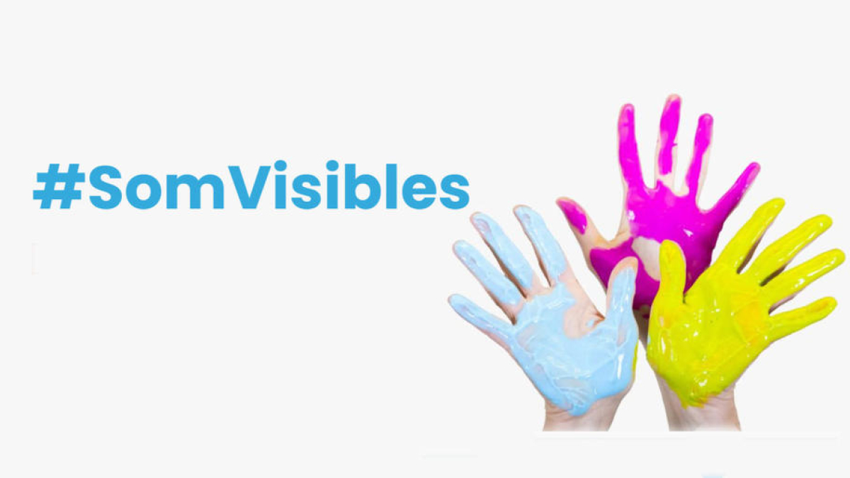 El coixinet d'AMMA, #SomVisibles.