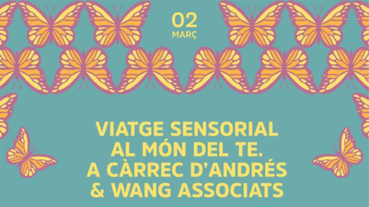 Viatge sensorial al món del te