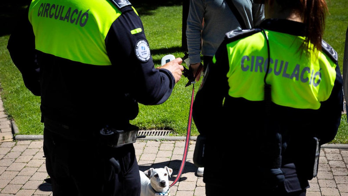 El sistema vol evitar que els propietaris abandonin la femta al carrer.