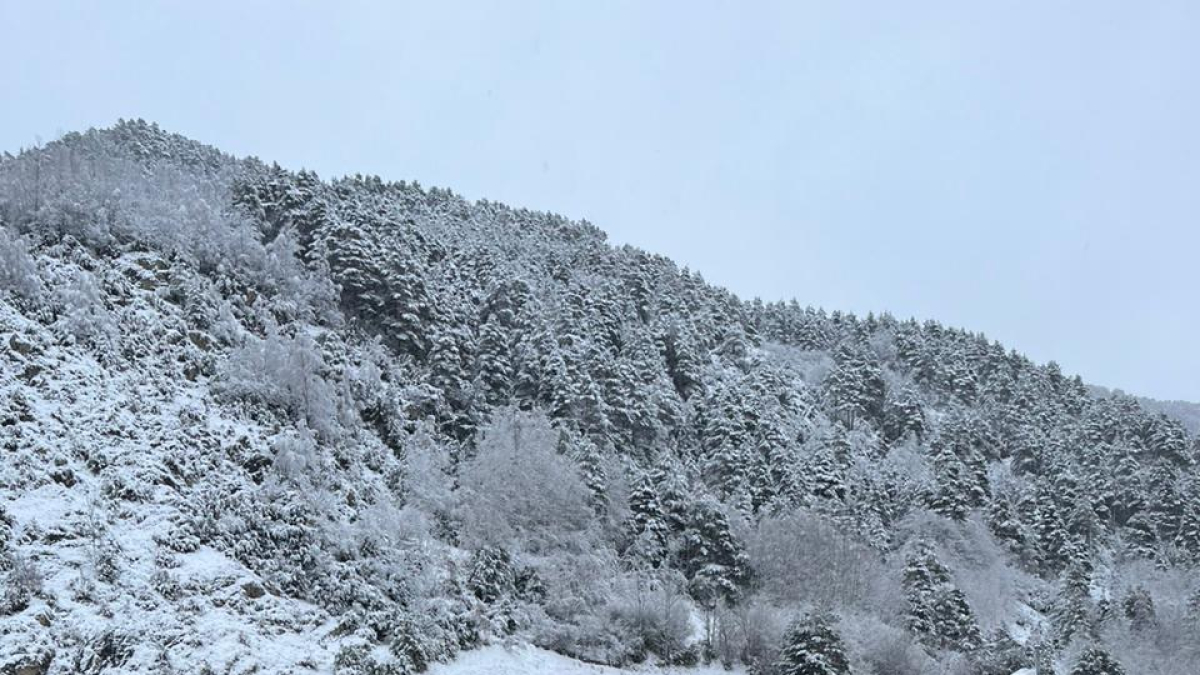 El vehicle accidentat a la general 3