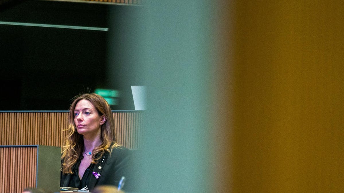 La ministra de Salut, Helena Mas, al Consell General.