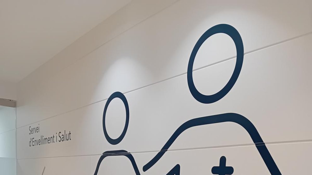 Servei d'envelliment i Salut del SAAS