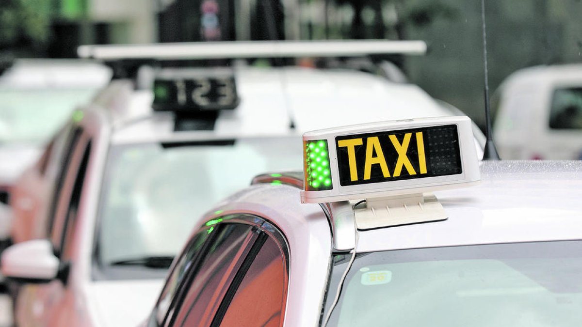 Govern concedirà cinc noves llicències de taxi adaptat