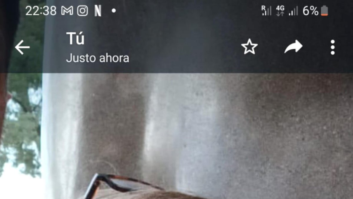 Montserrat Fonts, Educadora infantil i escriptora