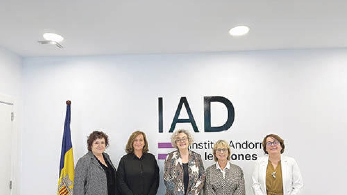 Comissió executiva de l'Institut de la Dona.