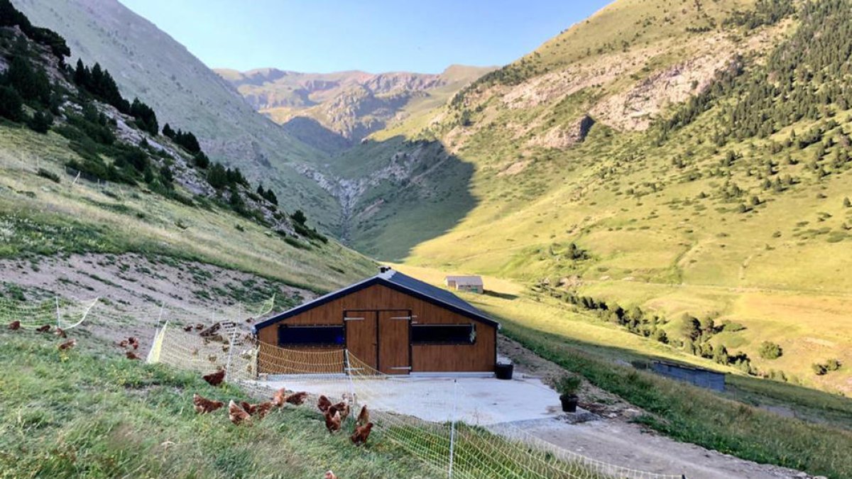 Una de les cases que disposa del segell