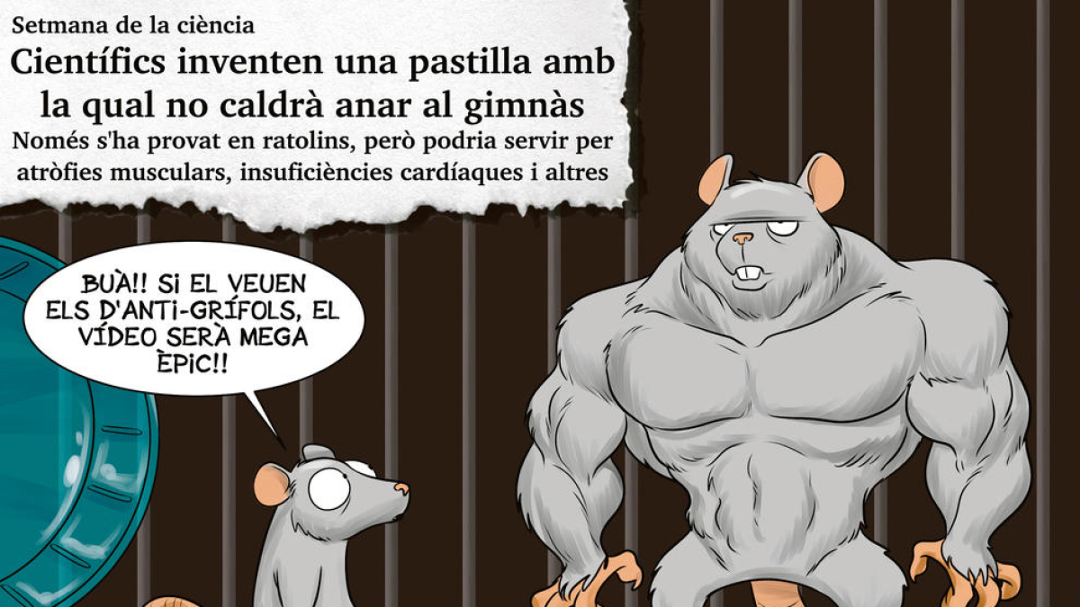 Planellades