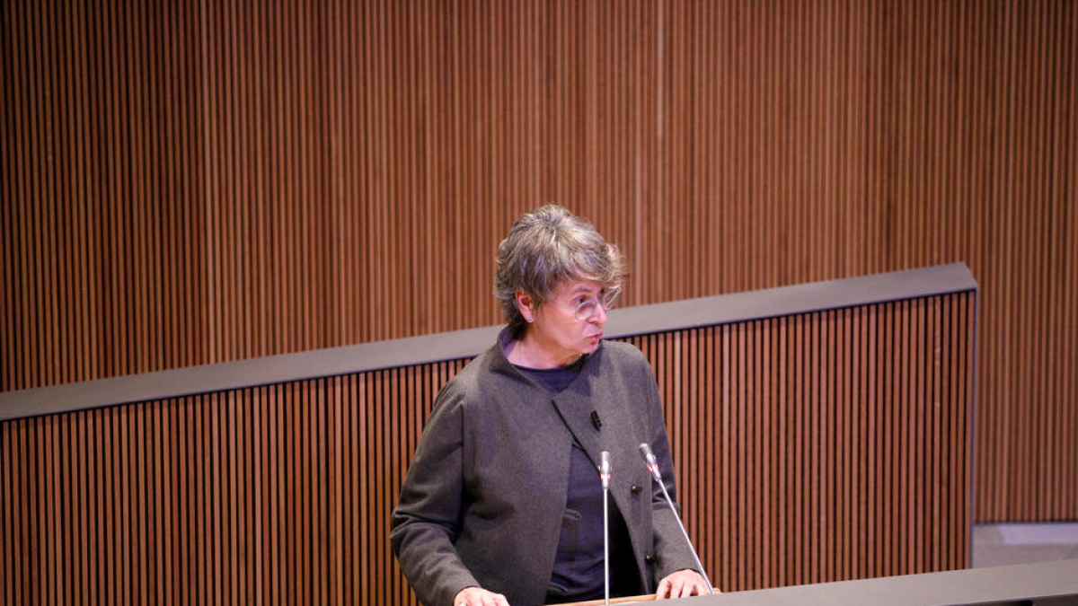 Susanna Vela en una sessió del Consell General