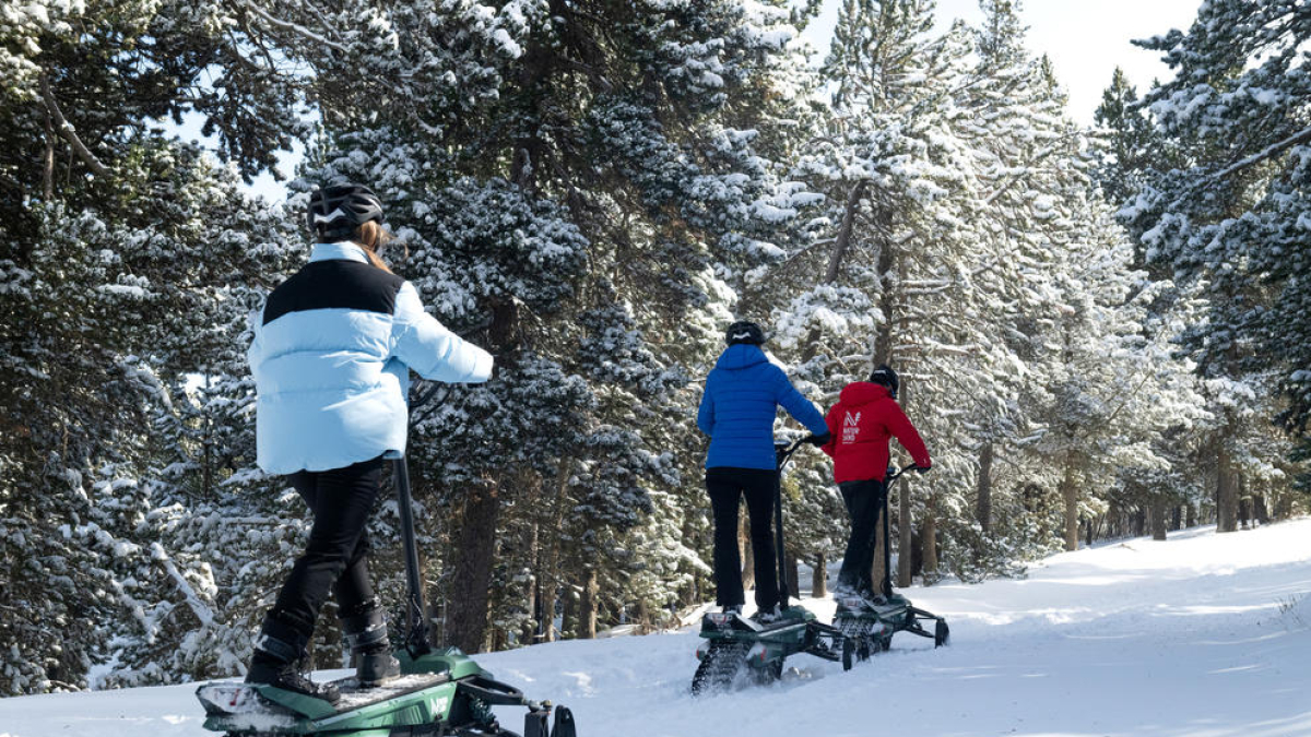 Activitat sobre neu a Naturland.