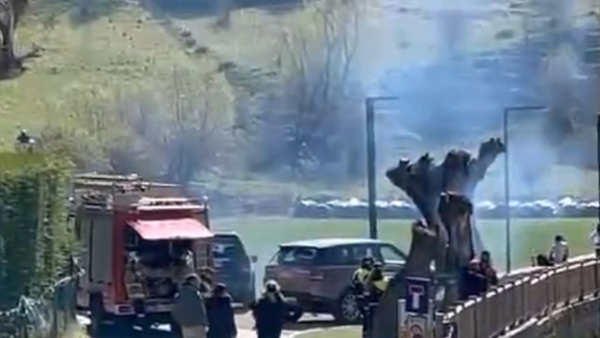 Arbre cremat a Canilló.