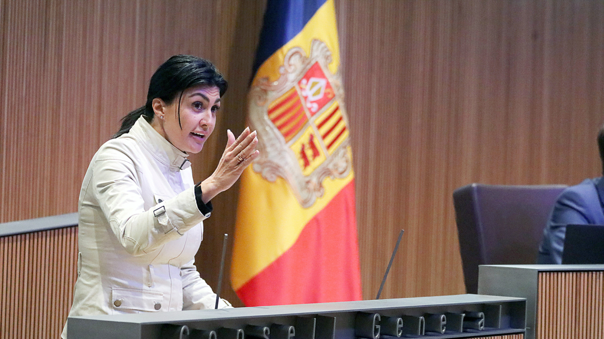 Carine Montaner en una sessió del Consell General.