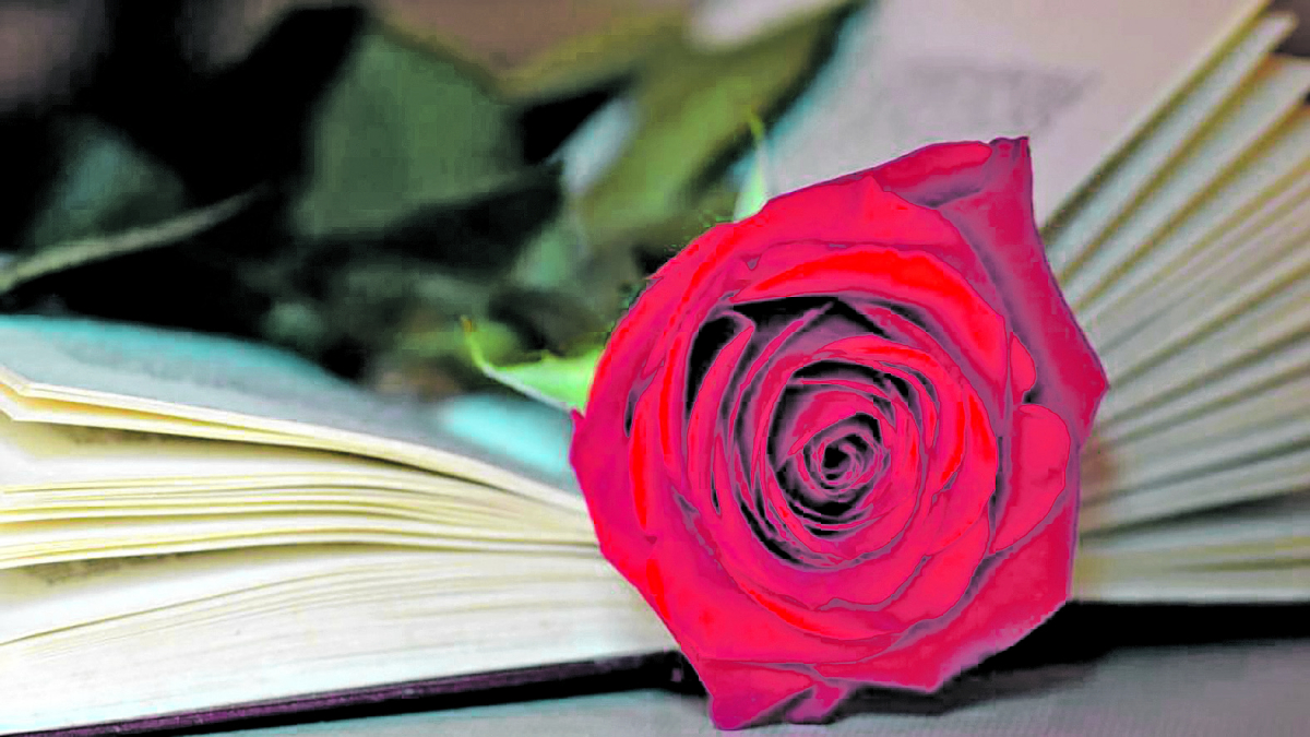 Hi ha activitats i fires programades arreu del país