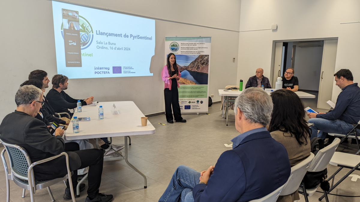 Presentació del projecte PyriSentinel
