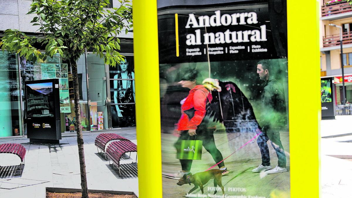 Un gos reflectit en un panell publicitari.