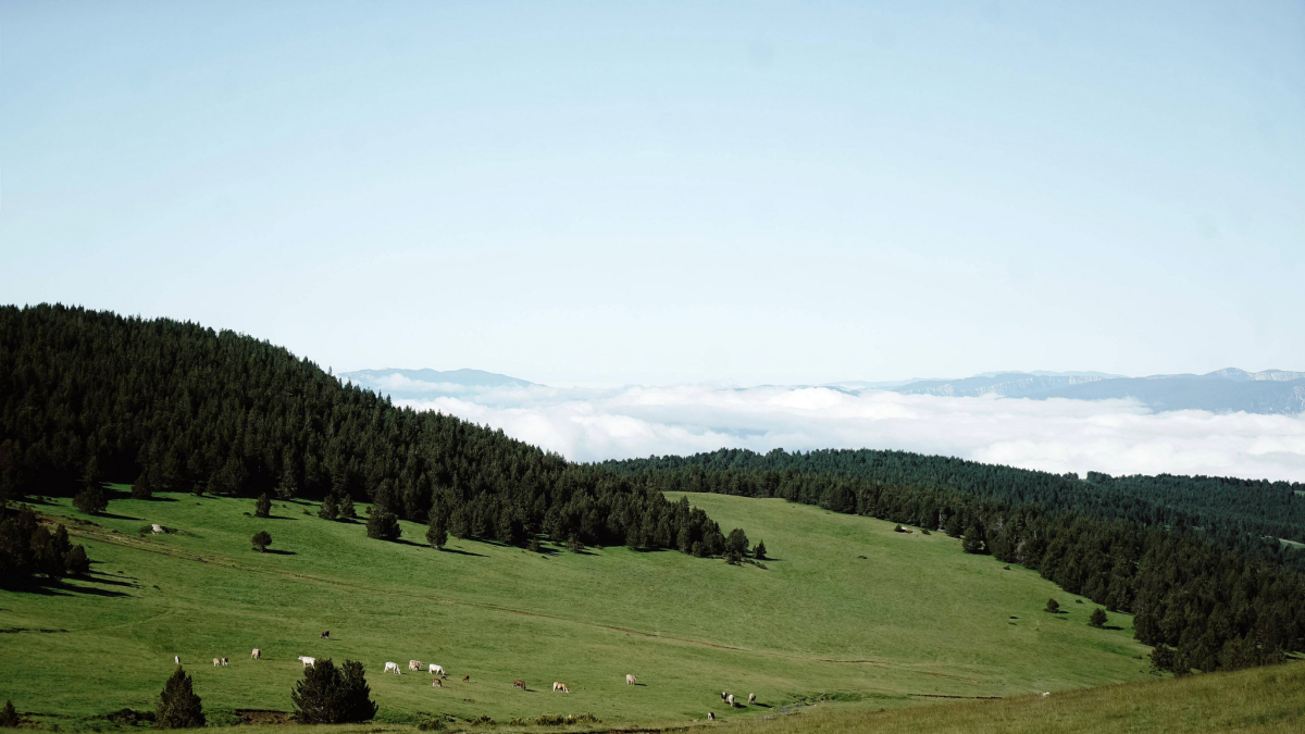 Cota 2.000 de Naturland.