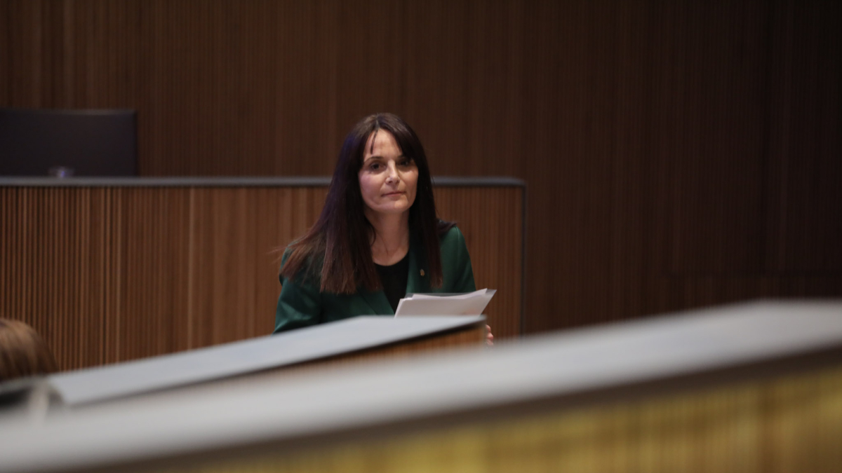 Monica Bonell al Consell General aquesta tarda