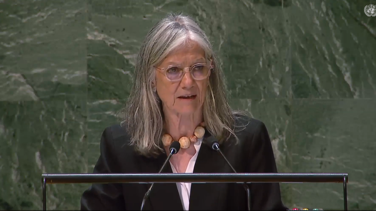 Elisenda Vives en la seva intervenció a l'ONU l'1 de maig