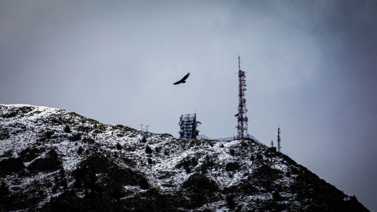 Pic de Carroi aquest 2 de maig