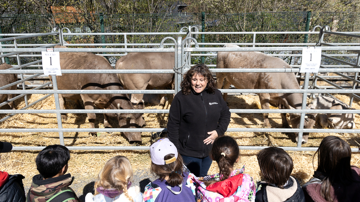 Cinc-cents escolars a la Fira del Bestiar