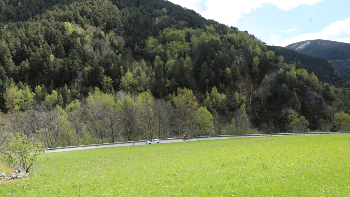 Zona de La Cortinada on va aparèixer l'os aquest matí
