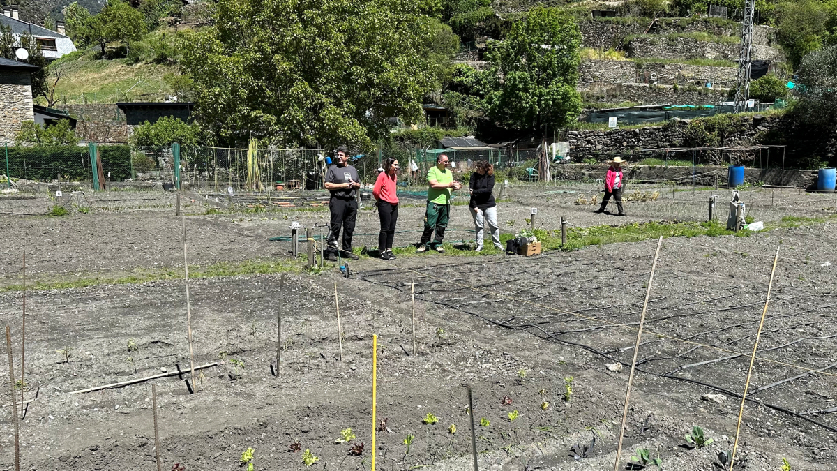 L’hort social a la zona dels horts del Dau, a Sant Julià de Lòria.