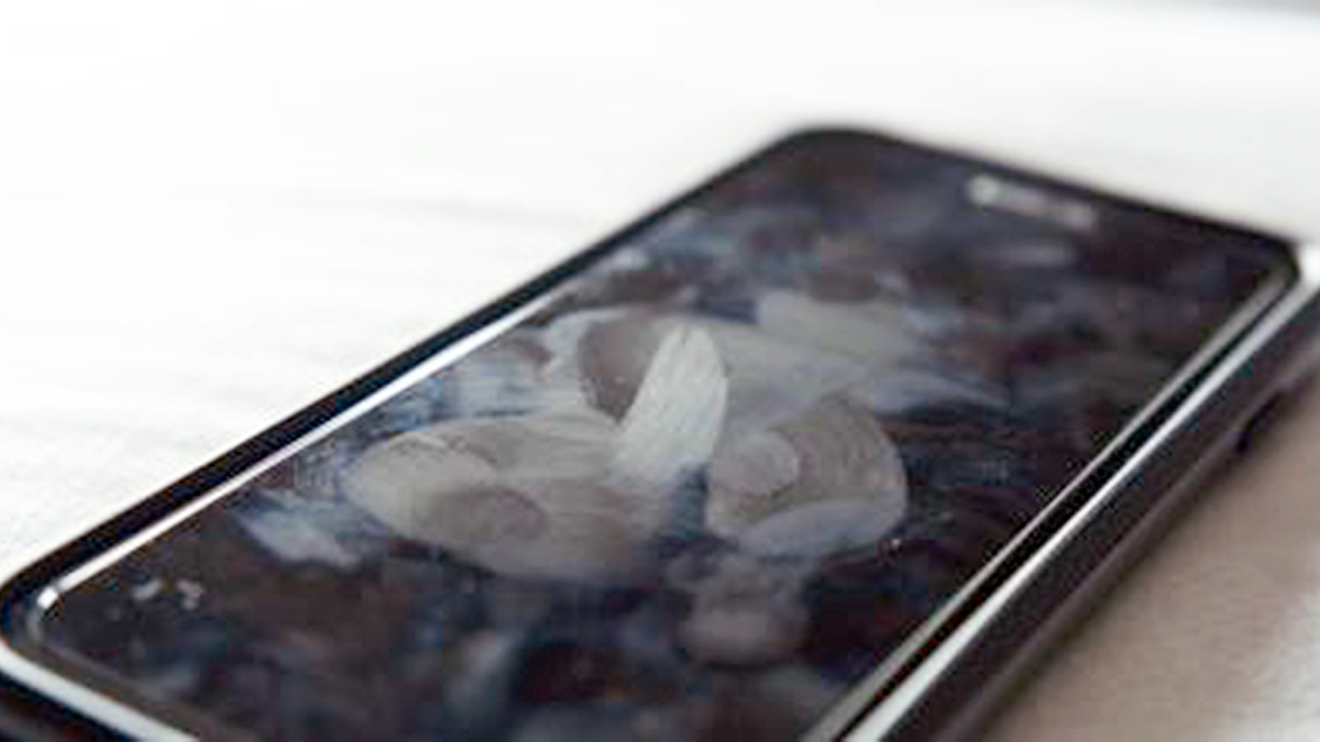 S'hi han detectat més de 600 tipus de microorganismes