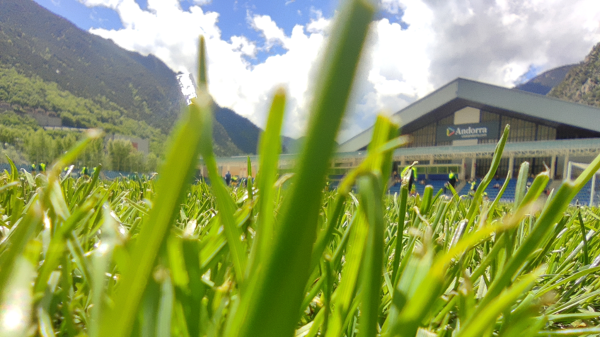 Gespa de l’Estadi Nacional.