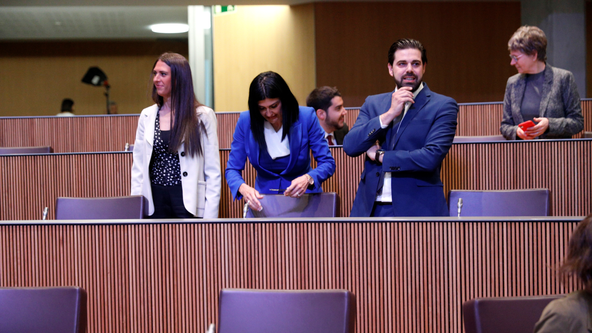 El grup d’Andorra Endavant, en una sessió del consell general.