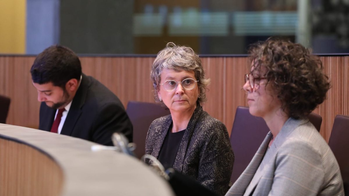 Susanna Vela al Consell General