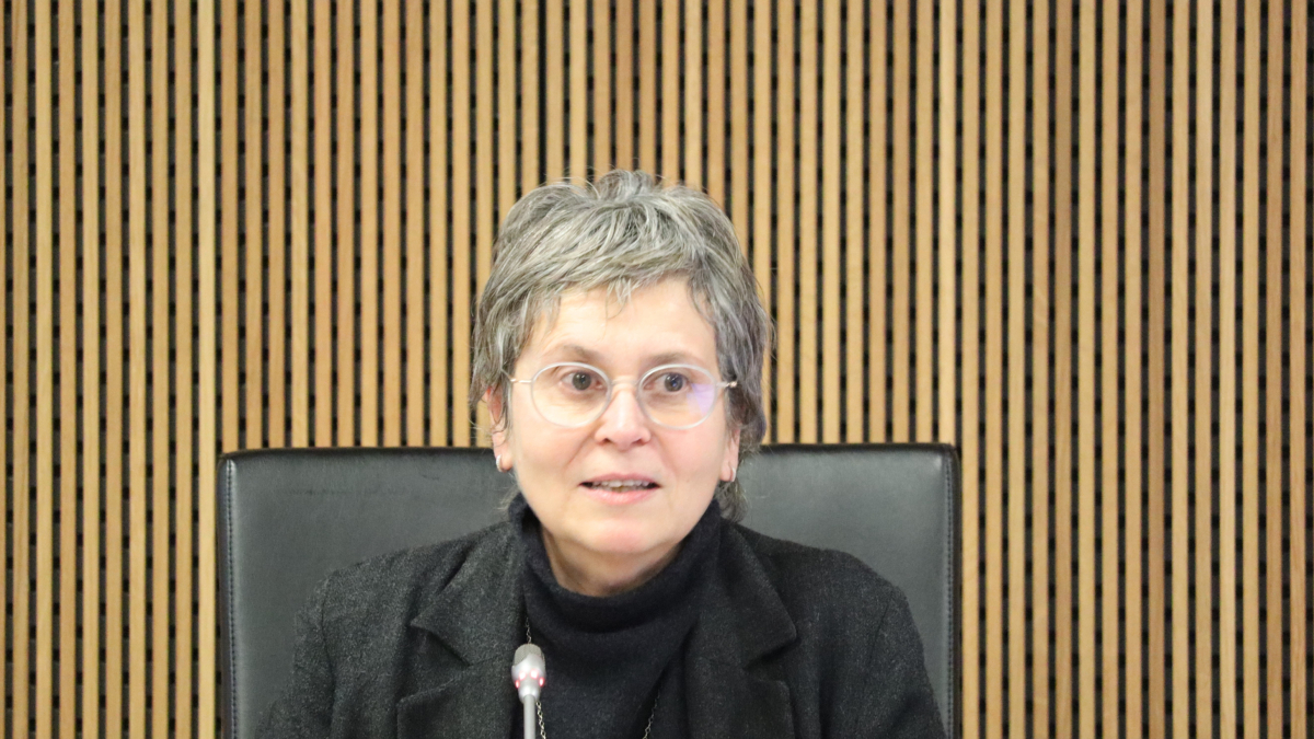Sussana Vela en una sessió al Consell General