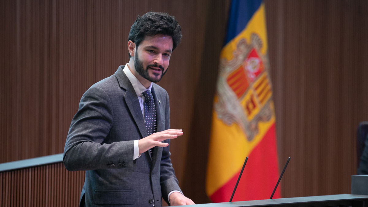 Cerni Escalé compareix a l'estrada del Consell General durant el debat d'orientació