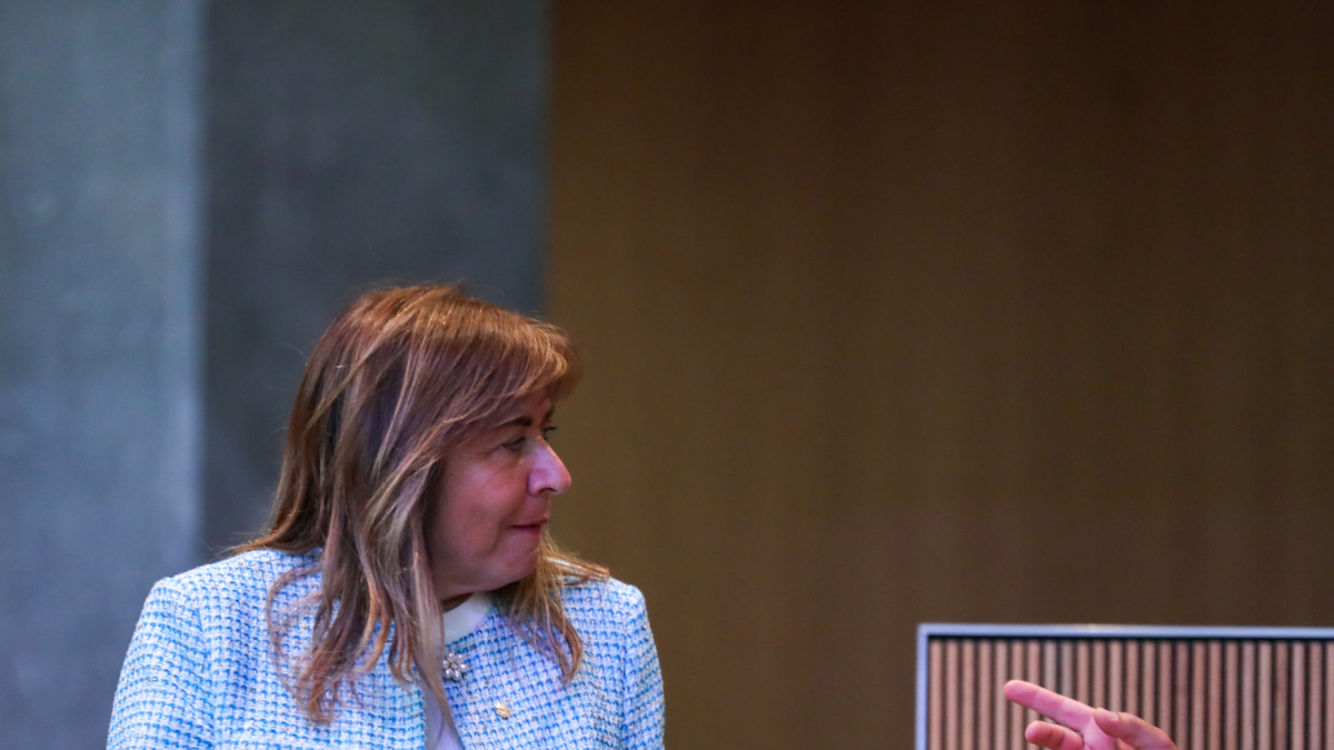 Conxita Marsol durant la sessió de preguntes a Govern.