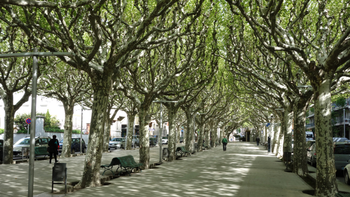 El popular passeig Joan Brudieu de la Seu d’Urgell.