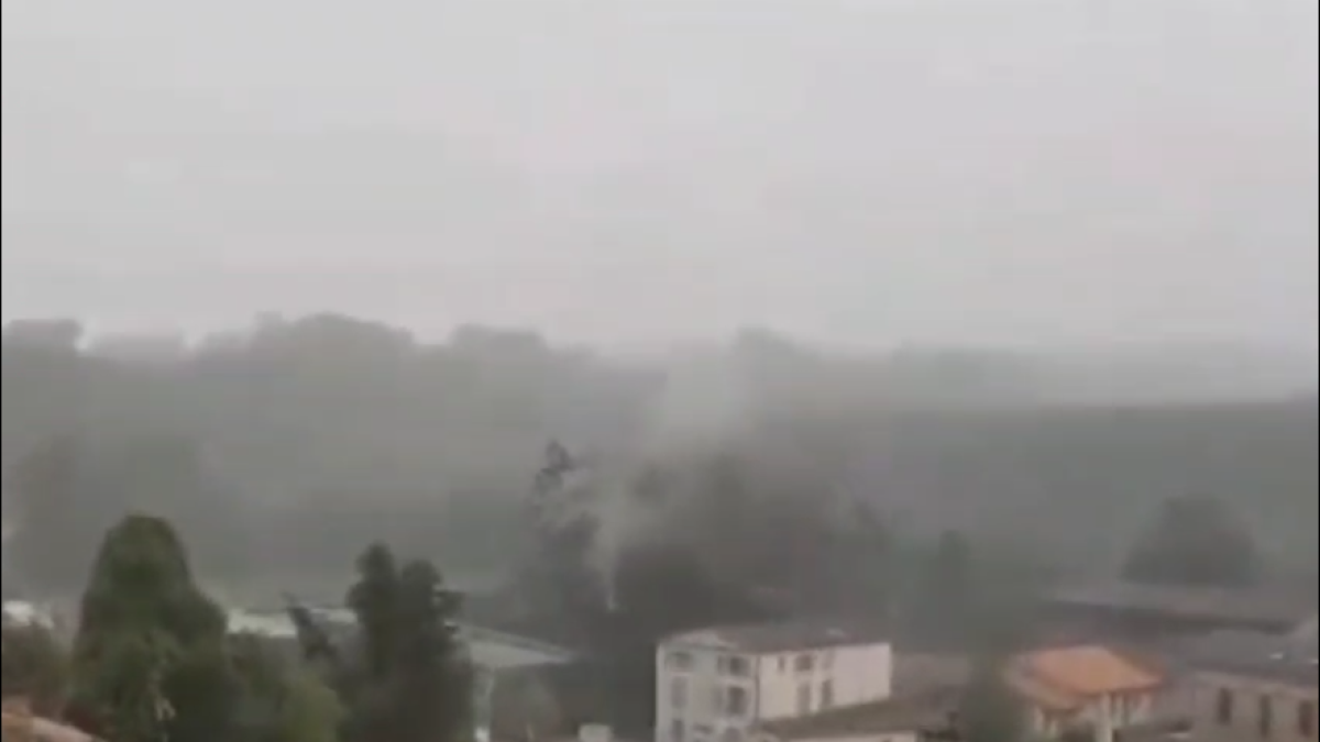 Un llamp desintegra un arbre a França