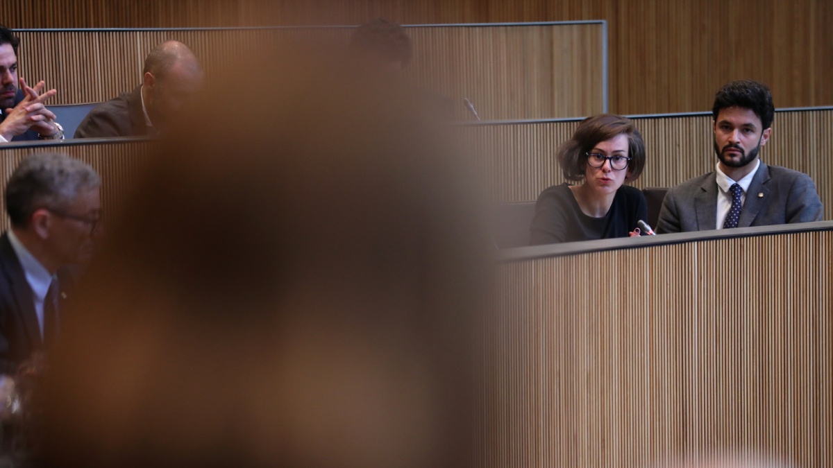 Segués i Escalé, en una sessió al Consell.