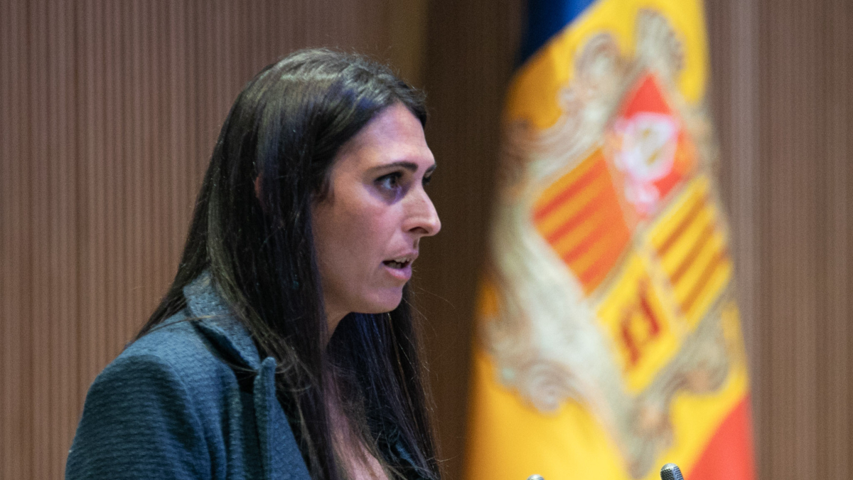 Noemí Amador a la sessió del Consell General d'avui