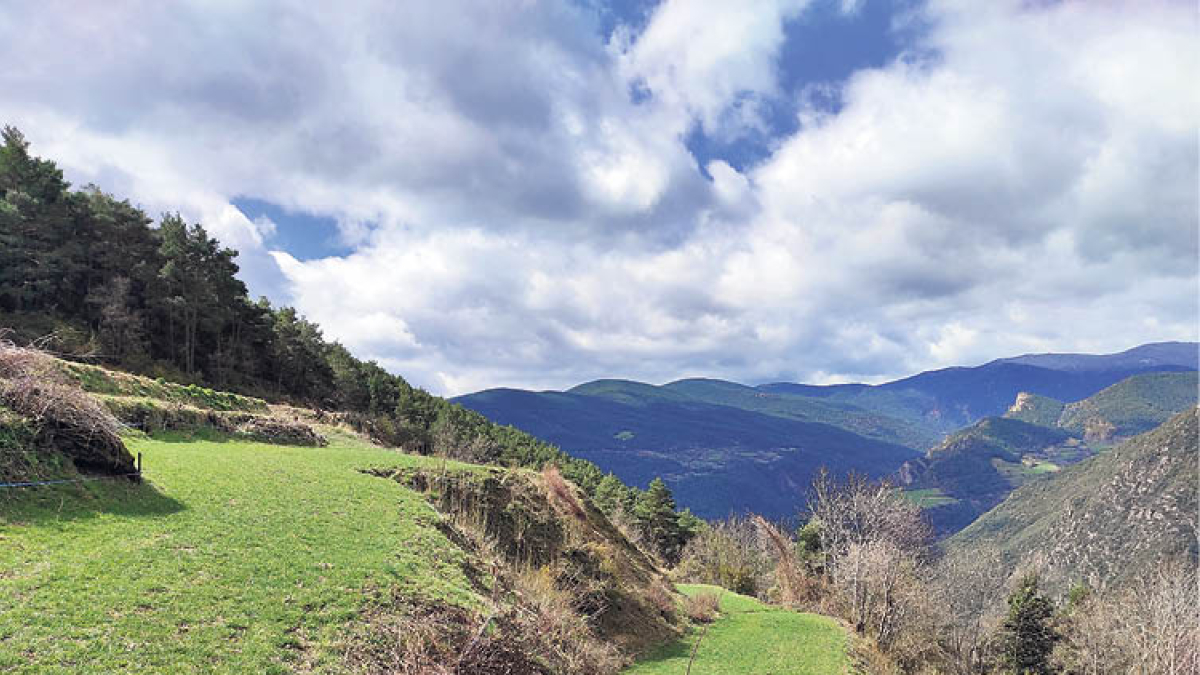ELS CANVIS ES PODEN VEURE A ESCALA TEMPORAL DE POCS ANYS