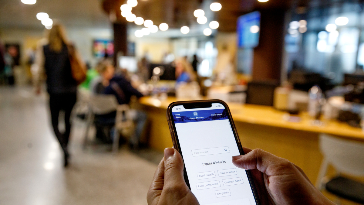 Un usuari consultant un portal del Govern.