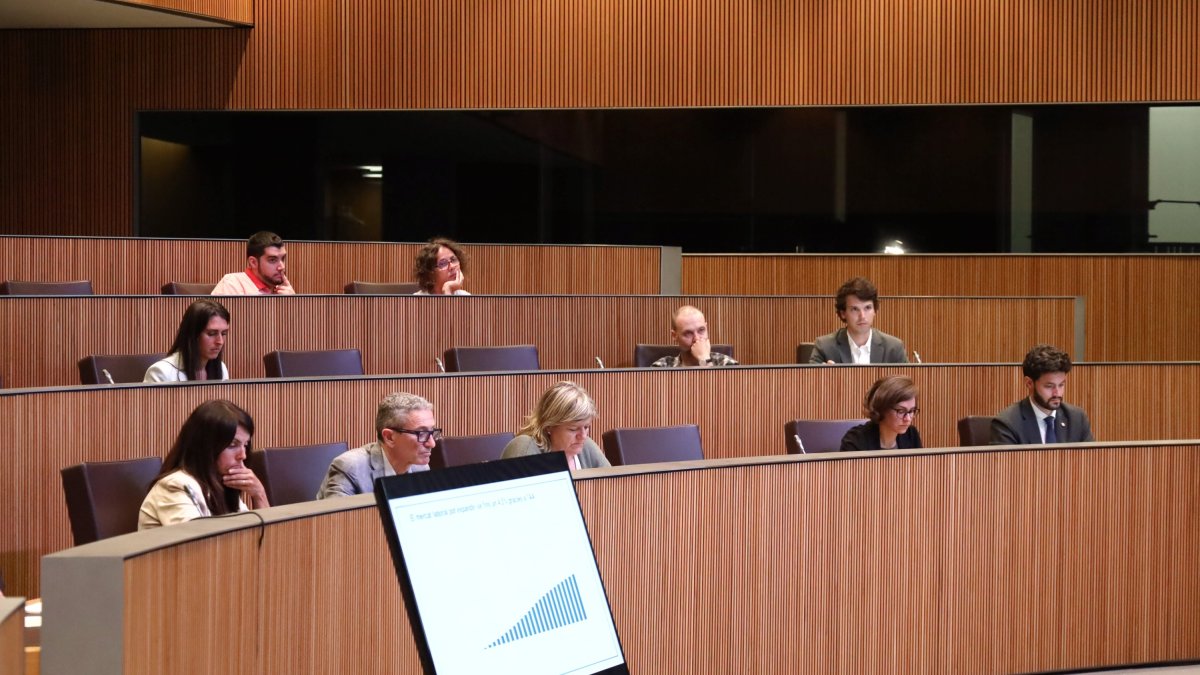 El projecte de llei s’ha entrat al Consell.