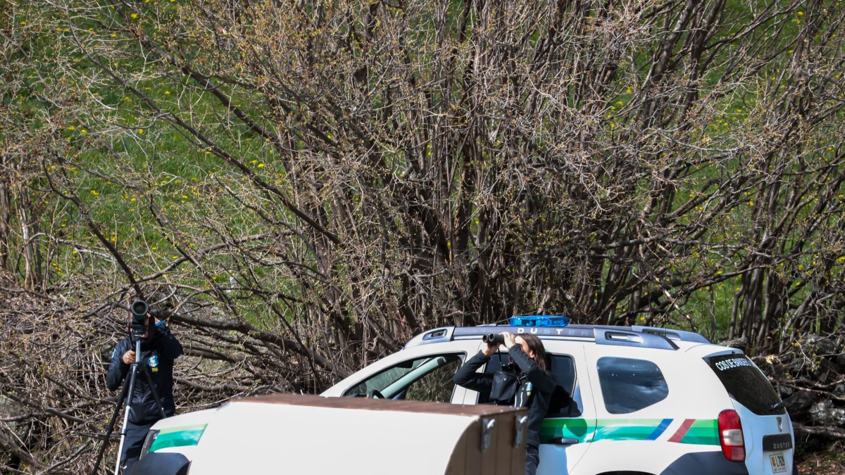 Banders durant un control.