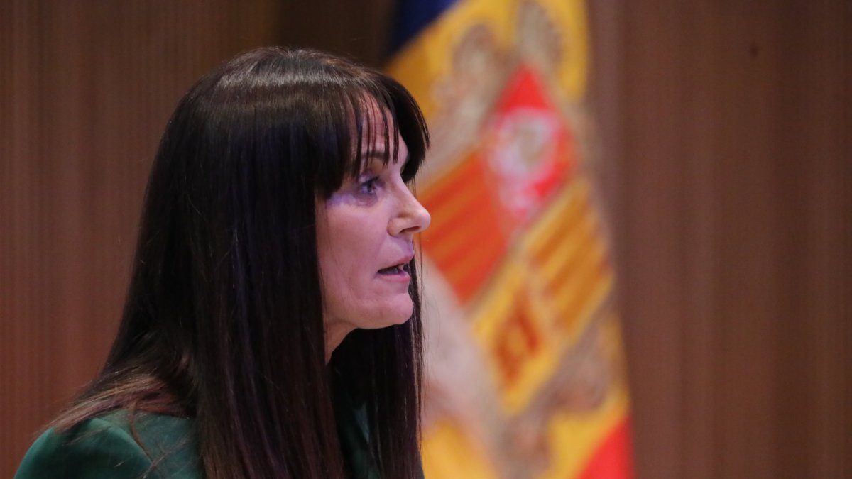 Mònica Bonell al Consell General