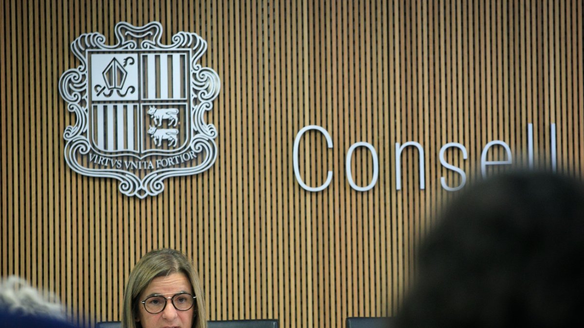 La ministra d’Afers Socials, Trini Marín, en una intervenció al Consell General