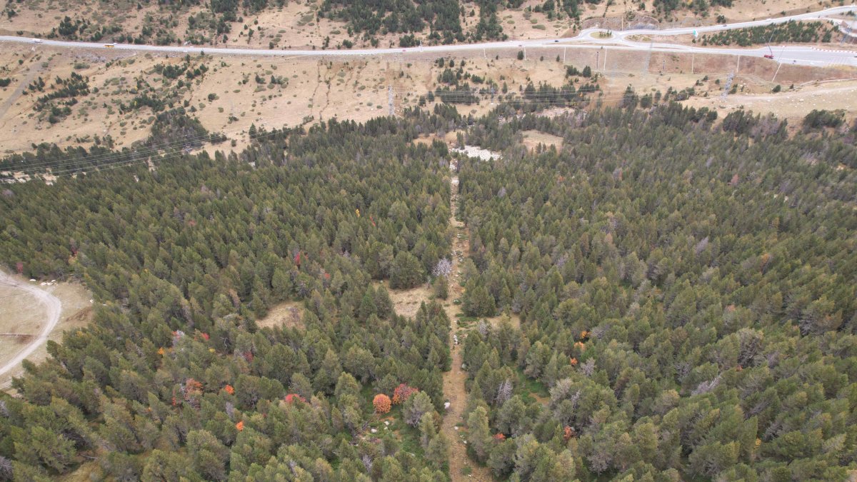 Imatge del soterrament de les línies de mitjana tensió a la zona de Grau Roig, al Pla de les Pedres