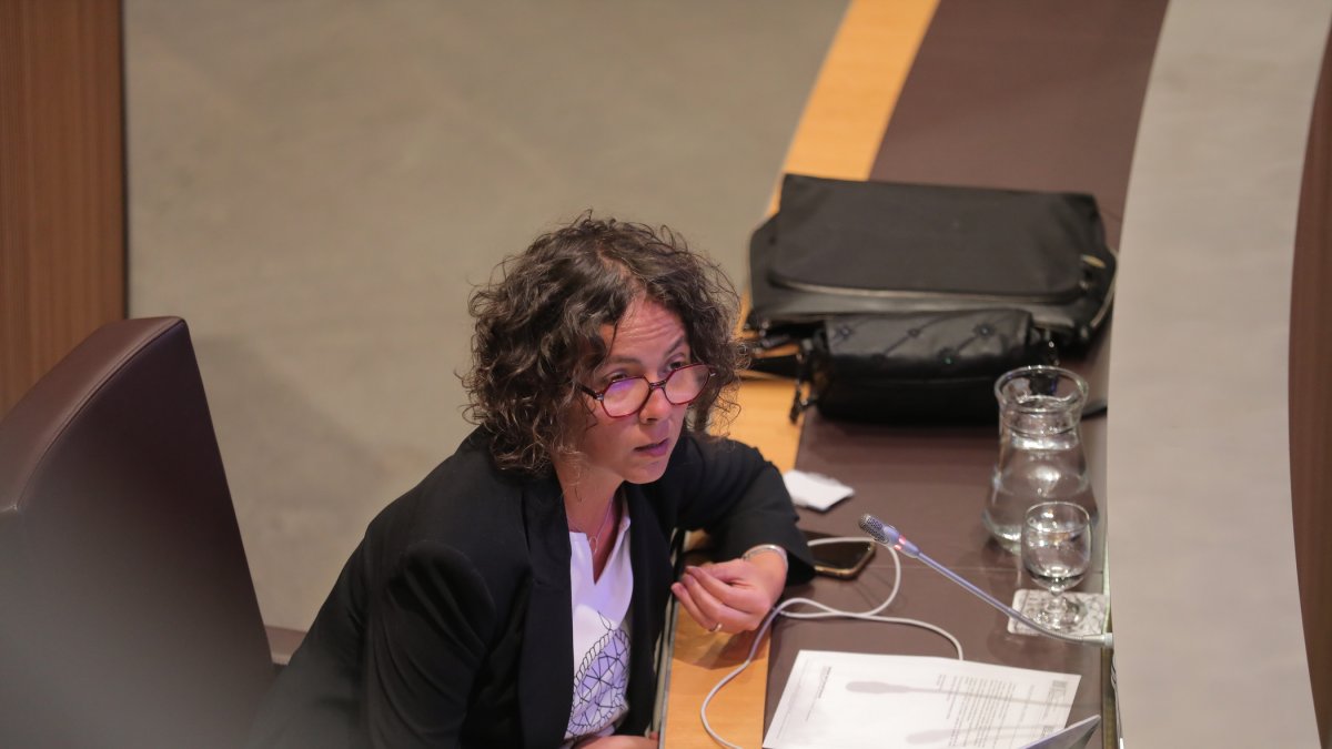 Casal al Consell General.