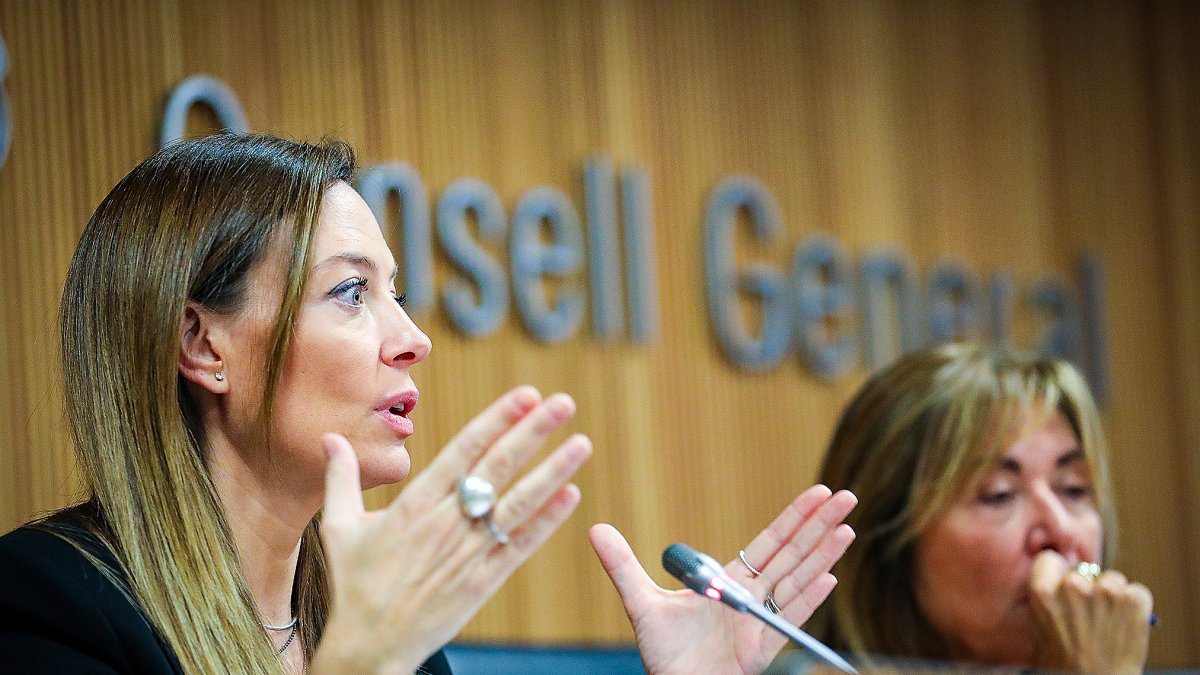 Les ministres Mas i Marsol van donar explicacions al Consell sobre la caiguda del projecte.