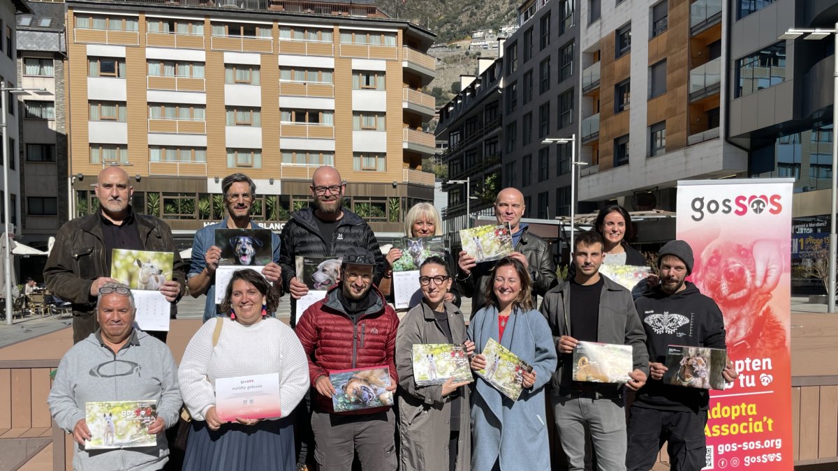 Els fotògrafs participants al calendari solidari i personal de la gossera